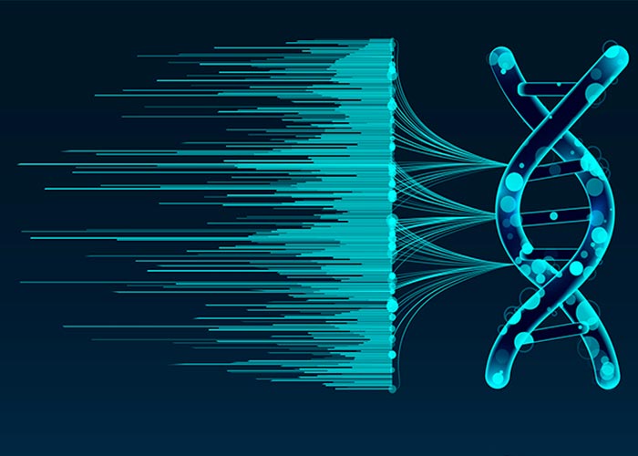 bioinformatics services gcgenomics